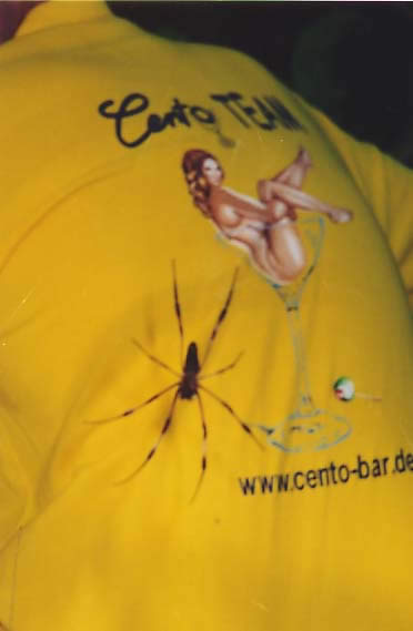 Spider @ Cento-Shirt
