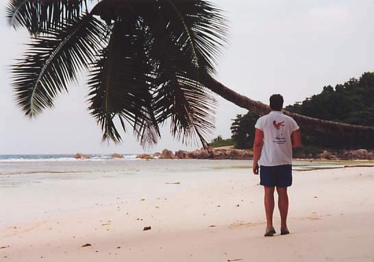 Cento @ the beach (La Digue Island, Seychellen)