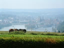 Die drei Flüsse um Passau...